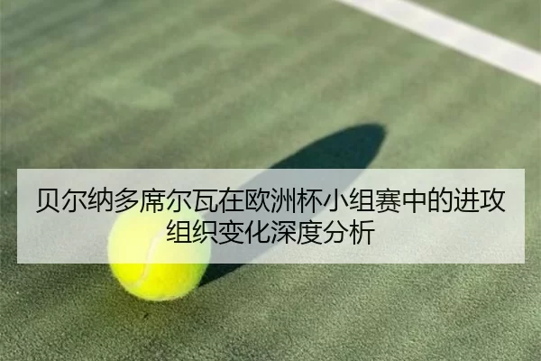 贝尔纳多席尔瓦在欧洲杯小组赛中的进攻组织变化深度分析