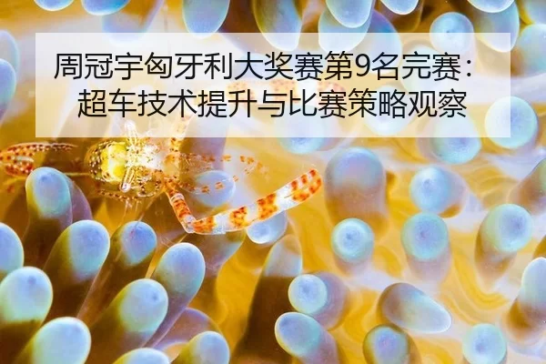 zhou-guan-yu-xiong-ya-li-da-jiang-sai-di-ming-wan-sai-chao-che-ji-shu-ti-sheng-yu-bi-sai-ce-lve-guan-cha-1-331.jpg